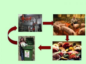 Diagram of waste cycle.
